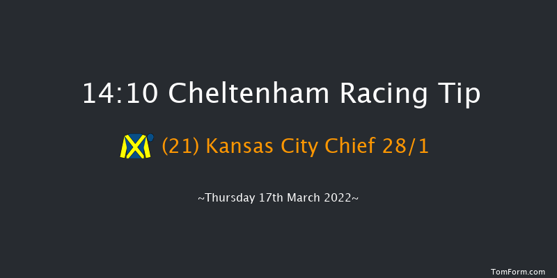 Cheltenham 14:10 Handicap Hurdle (Class 1) 24f Wed 16th Mar 2022