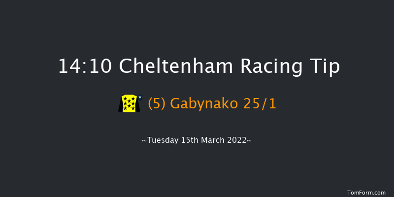 Cheltenham 14:10 Novices Chase (Class 1) 16f Sat 29th Jan 2022