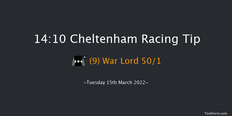 Cheltenham 14:10 Novices Chase (Class 1) 16f Sat 29th Jan 2022