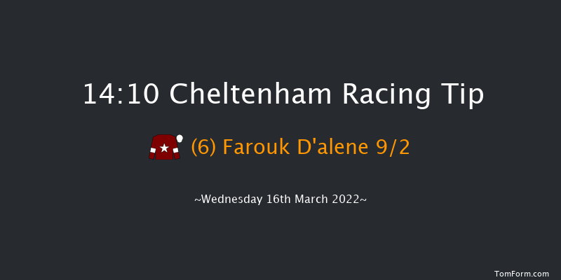 Cheltenham 14:10 Novices Chase (Class 1) 24f Tue 15th Mar 2022