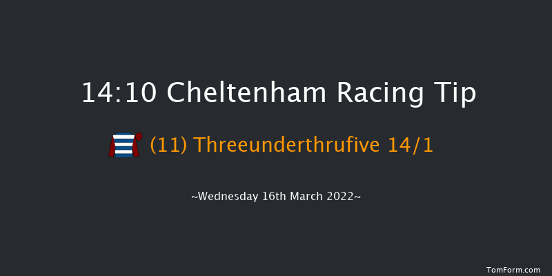 Cheltenham 14:10 Novices Chase (Class 1) 24f Tue 15th Mar 2022