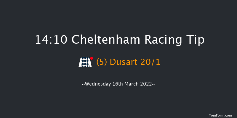 Cheltenham 14:10 Novices Chase (Class 1) 24f Tue 15th Mar 2022