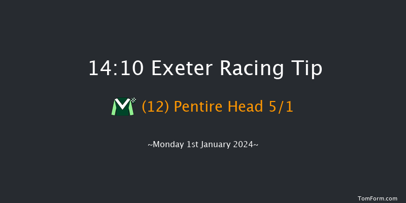 Exeter 14:10 Maiden Hurdle (Class 4) 18f Thu 21st Dec 2023