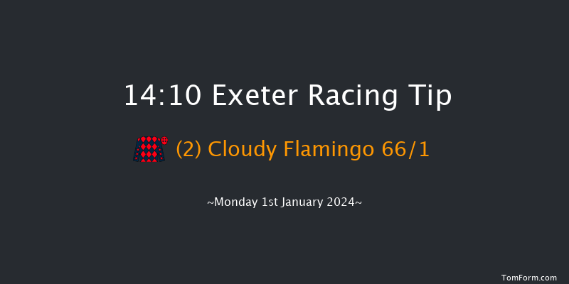 Exeter 14:10 Maiden Hurdle (Class 4) 18f Thu 21st Dec 2023