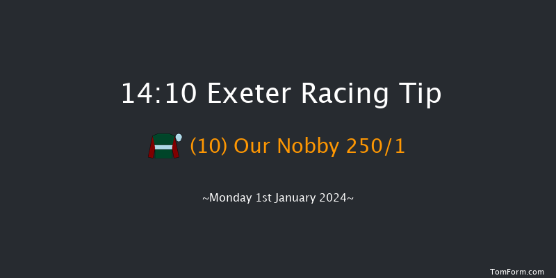 Exeter 14:10 Maiden Hurdle (Class 4) 18f Thu 21st Dec 2023