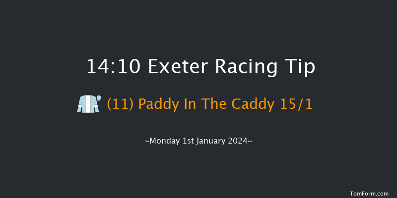 Exeter 14:10 Maiden Hurdle (Class 4) 18f Thu 21st Dec 2023