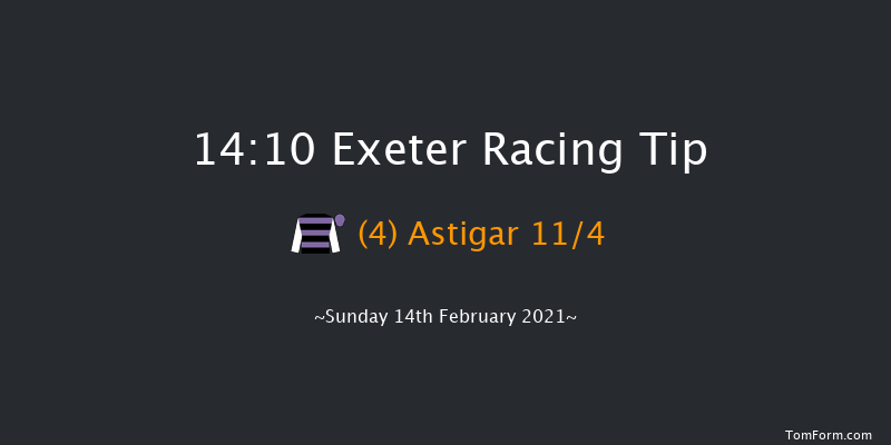 British Stallion Studs EBF 'National Hunt' Novices' Hurdle (Div 2) (GBB Race) Exeter 14:10 Novices Hurdle (Class 4) 18f Tue 19th Jan 2021