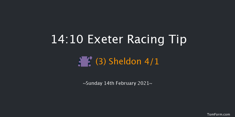 British Stallion Studs EBF 'National Hunt' Novices' Hurdle (Div 2) (GBB Race) Exeter 14:10 Novices Hurdle (Class 4) 18f Tue 19th Jan 2021