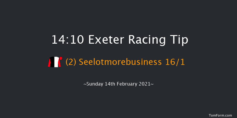 British Stallion Studs EBF 'National Hunt' Novices' Hurdle (Div 2) (GBB Race) Exeter 14:10 Novices Hurdle (Class 4) 18f Tue 19th Jan 2021