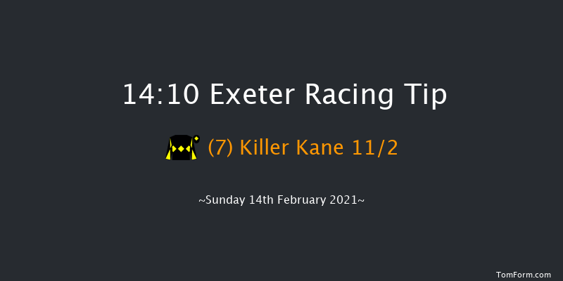 British Stallion Studs EBF 'National Hunt' Novices' Hurdle (Div 2) (GBB Race) Exeter 14:10 Novices Hurdle (Class 4) 18f Tue 19th Jan 2021