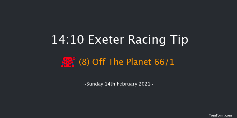 British Stallion Studs EBF 'National Hunt' Novices' Hurdle (Div 2) (GBB Race) Exeter 14:10 Novices Hurdle (Class 4) 18f Tue 19th Jan 2021