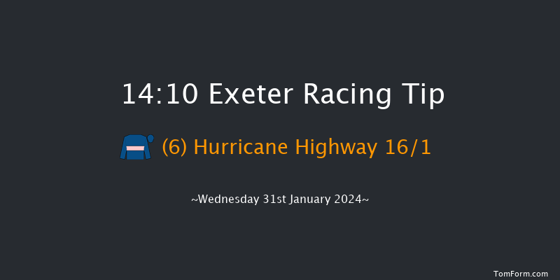 Exeter  14:10 Handicap Chase (Class 3) 24f Mon 1st Jan 2024