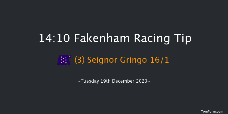 Fakenham 14:10 Handicap Hurdle (Class 4) 16f Tue 21st Nov 2023