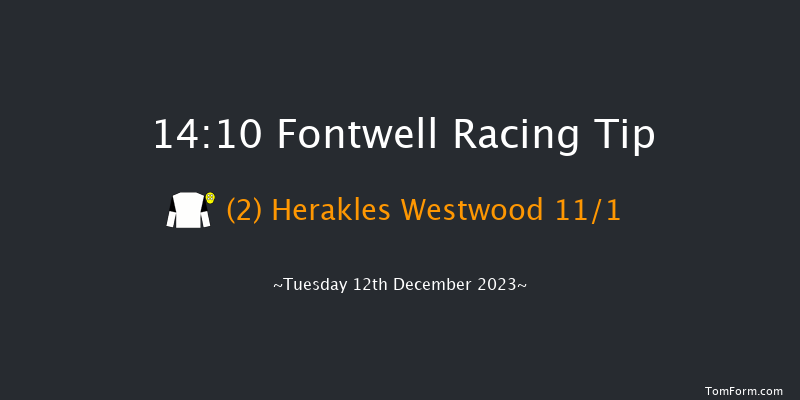 Fontwell 14:10 Handicap Hurdle (Class 5) 22f Sun 19th Nov 2023