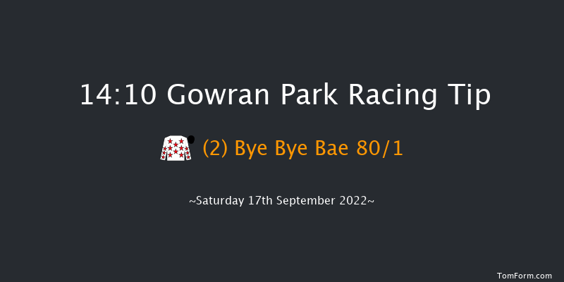 Gowran Park 14:10 Maiden 8f Wed 31st Aug 2022