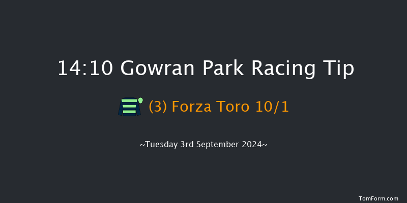 Gowran Park  14:10 Maiden 7f Wed 14th Aug 2024