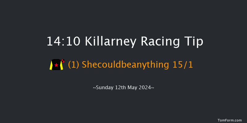 Killarney  14:10 Conditions Hurdle 17f Sun 1st Oct 2023