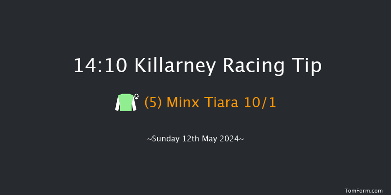 Killarney  14:10 Conditions Hurdle 17f Sun 1st Oct 2023