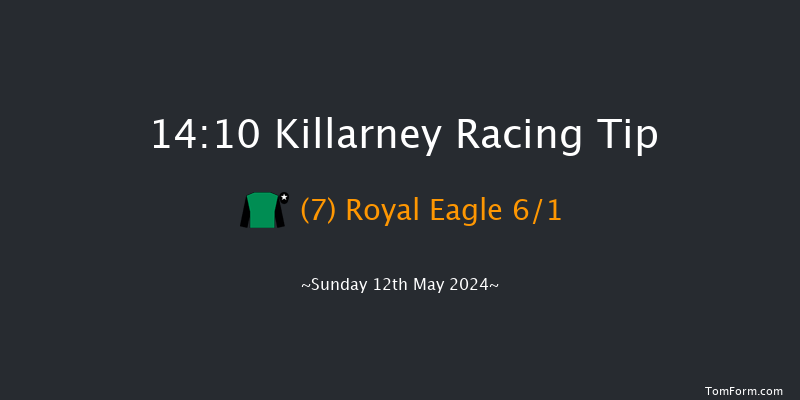 Killarney  14:10 Conditions Hurdle 17f Sun 1st Oct 2023