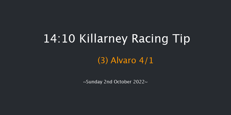 Killarney 14:10 Maiden Hurdle 23f Sat 1st Oct 2022