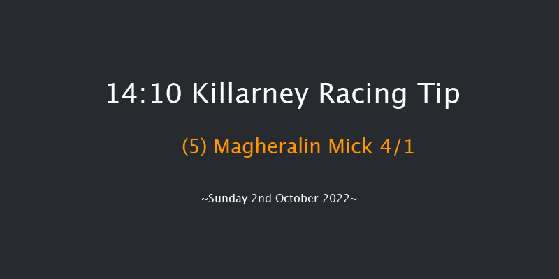 Killarney 14:10 Maiden Hurdle 23f Sat 1st Oct 2022