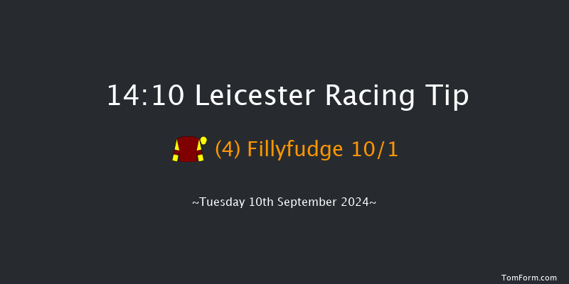 Leicester  14:10 Handicap (Class 5) 10f Thu 18th Jul 2024