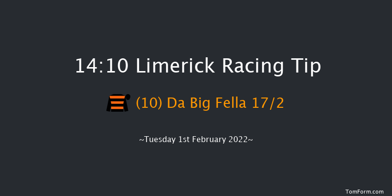 Limerick 14:10 Handicap Hurdle 21f Wed 29th Dec 2021