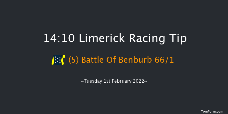 Limerick 14:10 Handicap Hurdle 21f Wed 29th Dec 2021