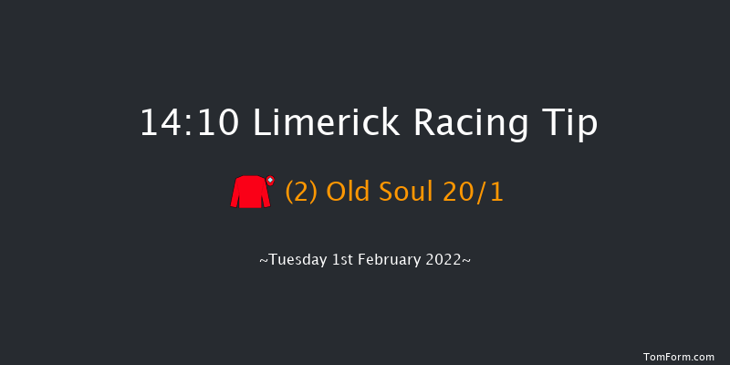 Limerick 14:10 Handicap Hurdle 21f Wed 29th Dec 2021