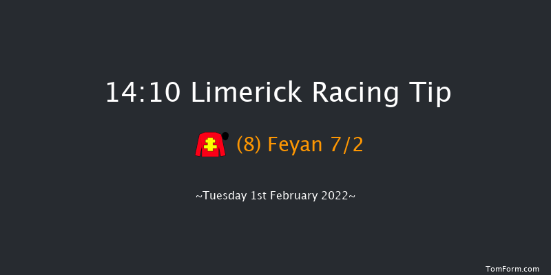 Limerick 14:10 Handicap Hurdle 21f Wed 29th Dec 2021