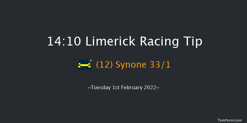 Limerick 14:10 Handicap Hurdle 21f Wed 29th Dec 2021