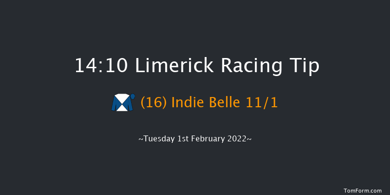 Limerick 14:10 Handicap Hurdle 21f Wed 29th Dec 2021