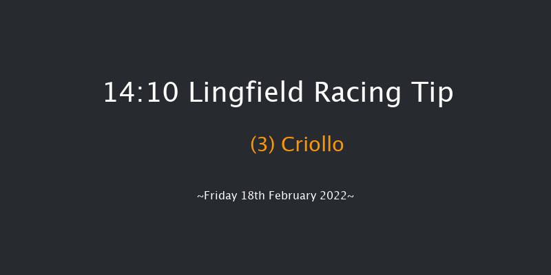 Lingfield 14:10 Stakes (Class 5) 7f Tue 15th Feb 2022