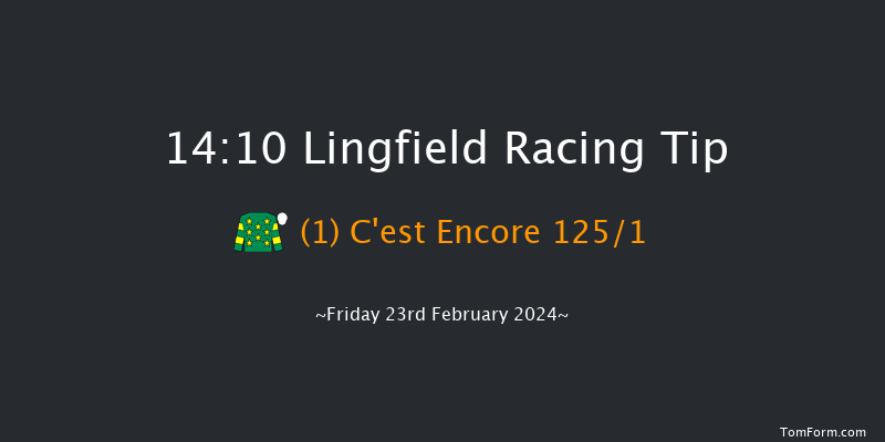 Lingfield  14:10 Maiden
(Class 5) 10f Thu 22nd Feb 2024