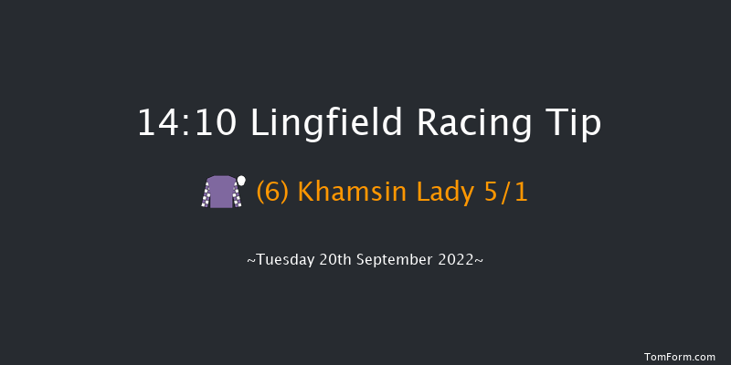 Lingfield 14:10 Maiden (Class 5) 8f Wed 31st Aug 2022