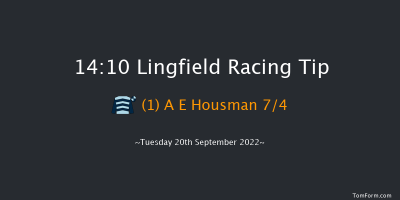 Lingfield 14:10 Maiden (Class 5) 8f Wed 31st Aug 2022