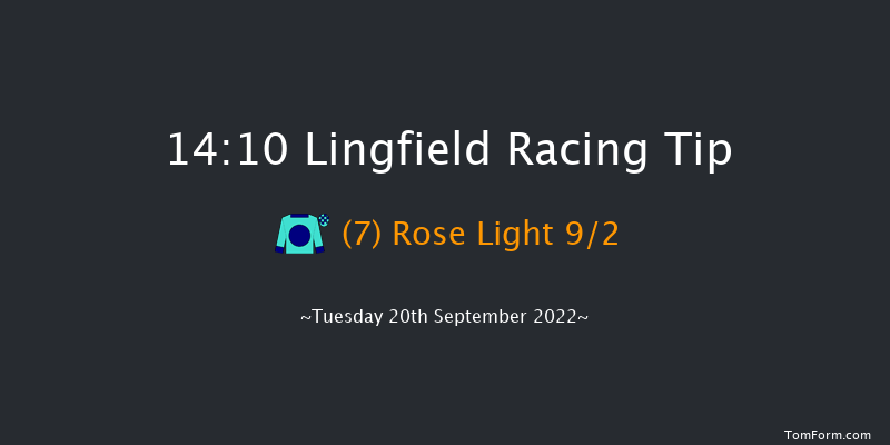 Lingfield 14:10 Maiden (Class 5) 8f Wed 31st Aug 2022