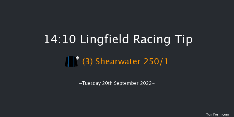 Lingfield 14:10 Maiden (Class 5) 8f Wed 31st Aug 2022