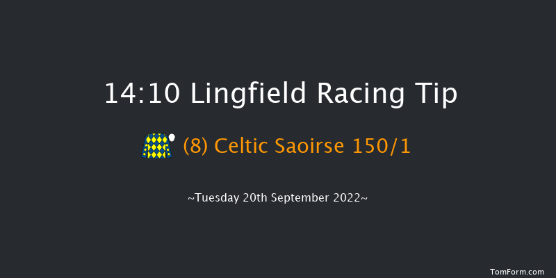 Lingfield 14:10 Maiden (Class 5) 8f Wed 31st Aug 2022