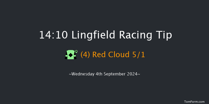 Lingfield  14:10 Handicap (Class 6) 12f Sat 31st Aug 2024