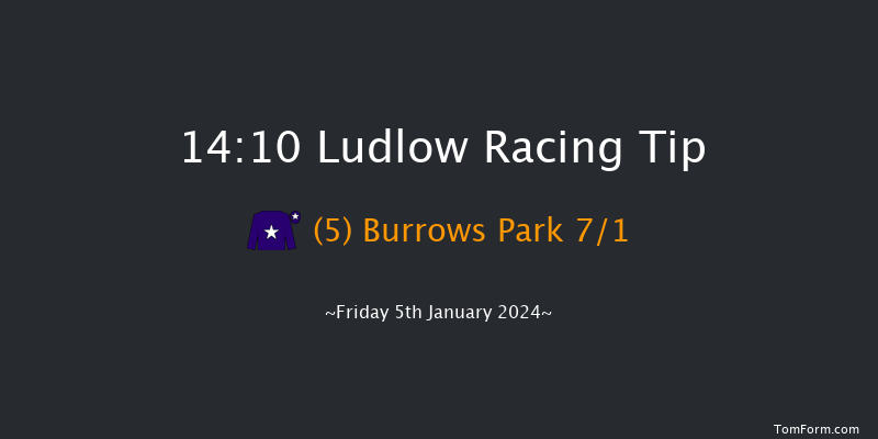 Ludlow 14:10 Handicap Hurdle (Class 3) 24f Wed 20th Dec 2023