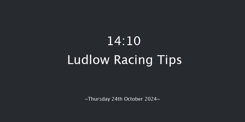 Ludlow  14:10 Maiden Hurdle (Class 4) 16f Wed 9th Oct 2024