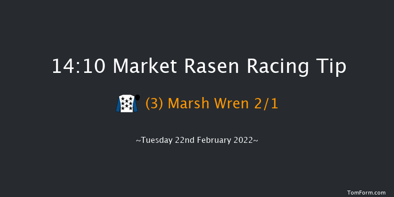 Market Rasen 14:10 Maiden Hurdle (Class 3) 17f Tue 8th Feb 2022