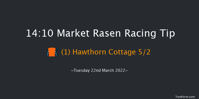 Market Rasen 14:10 Handicap Chase (Class 4) 21f Tue 22nd Feb 2022