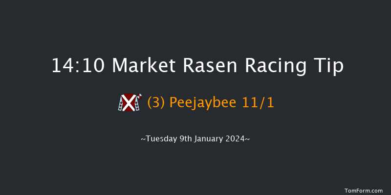 Market Rasen 14:10 Handicap Chase (Class 3) 24f Tue 26th Dec 2023