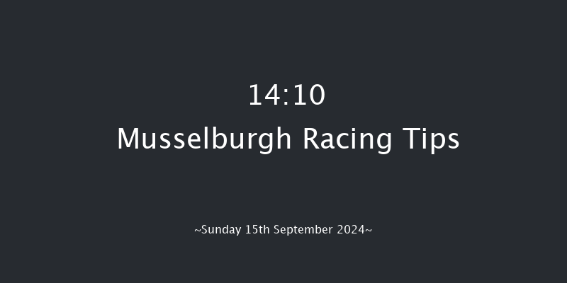 Musselburgh  14:10 Handicap (Class 6) 8f Sat 14th Sep 2024