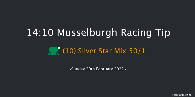 Musselburgh 14:10 Handicap Chase (Class 5) 24f Sun 6th Feb 2022