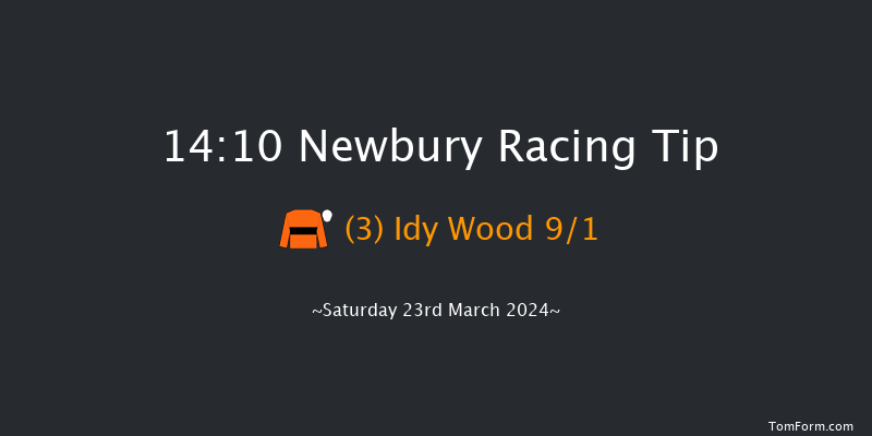 Newbury  14:10 Handicap Hurdle (Class 3)
19f Fri 22nd Mar 2024