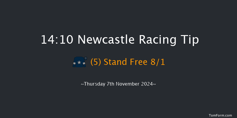 Newcastle  14:10 Handicap (Class 6) 10f Tue 5th Nov 2024