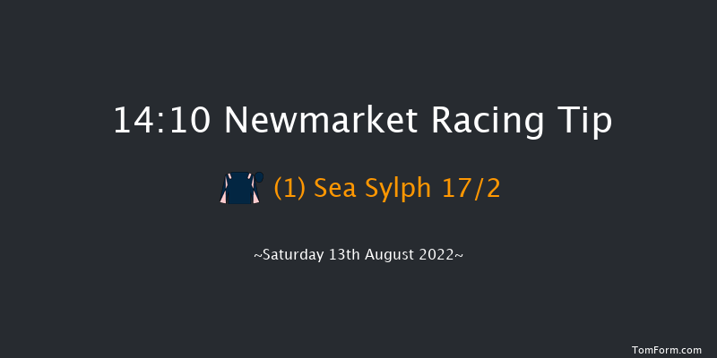 Newmarket 14:10 Handicap (Class 2) 14f Sat 6th Aug 2022